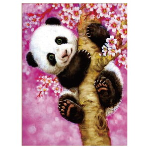 LLr[YA[g ؓop_ SCB-495 LoXTCY 30×40cm Gx[ | hJLbg r[Y LoX A[g CeA t[ r[YA[g _ChA[g