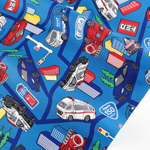 g~J nCEFC IbNX 50cmP | ؔ ؂蔄 n z zn Rbg100 ͂炭 ͂炭 [LOJ[ M@ H ʉ ʊw  w Vw ObY ̎q 