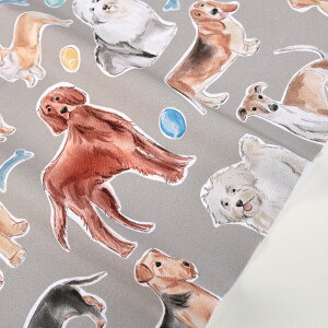 USARbg LOYAL FRIENDS 50cmP | ؔ ؂蔄 n z zn USARbg michael millar }CP~[ Rbg100 AJ AJRbg  n  hbO ybg 킢 