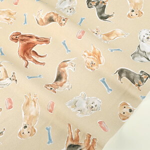 USARbg PLAY TIME 50cmP | ؔ ؂蔄 n z zn USARbg michael millar }CP~[ Rbg100 AJ AJRbg  n  hbO ybg 킢 