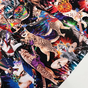 USA�R�b�g�� ROCKER CATS 50cm�P�� | �ؔ��� �؂蔄�� ���n �z �z�n �R�b�g��100�� �A�����J���R�b�g�� Timeless Treasures �^�C�����X�g���W���[ ���b�J�[ ���� ���n �L �˂� �L���b�g ���������� ������