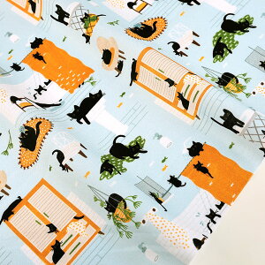 USARbg KITTY WASH 50cmP | ؔ ؂蔄 n z zn Rbg100 AJ AJRbg dear STELLA fA Xe  n L L ˂ Lbg ybg ɂ 킢