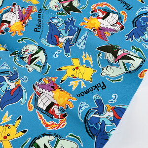 |PbgX^[ IbNX 50cmP | ؔ ؂蔄 n z zn Rbg100 LN^[ sJ`[ Q[ |P pokemon   w Vw ObY ̎q j̎q ʉ ʊw 