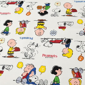 楽天市場 スヌーピー 生地の通販