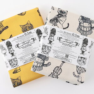 Ringo ~[WbNLbg IbNX 50cm JbgNXbn z zn ͂ Jbgz JbgNX S t@ubN Rbg100 ʒn v L ˂ lR y y oCI Tb