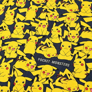 ポケモン キャラクター ピカチュウ 手芸用品 クラフトの人気商品 通販 価格比較 価格 Com