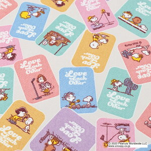 Xk[s[ u IbNX 50cmPʁbؔ ؂蔄 n z zn PEANUTS s[ibc LN^[ Rbg100 ݃J[ jAXJ[ ObY wObY VwObY ̎q