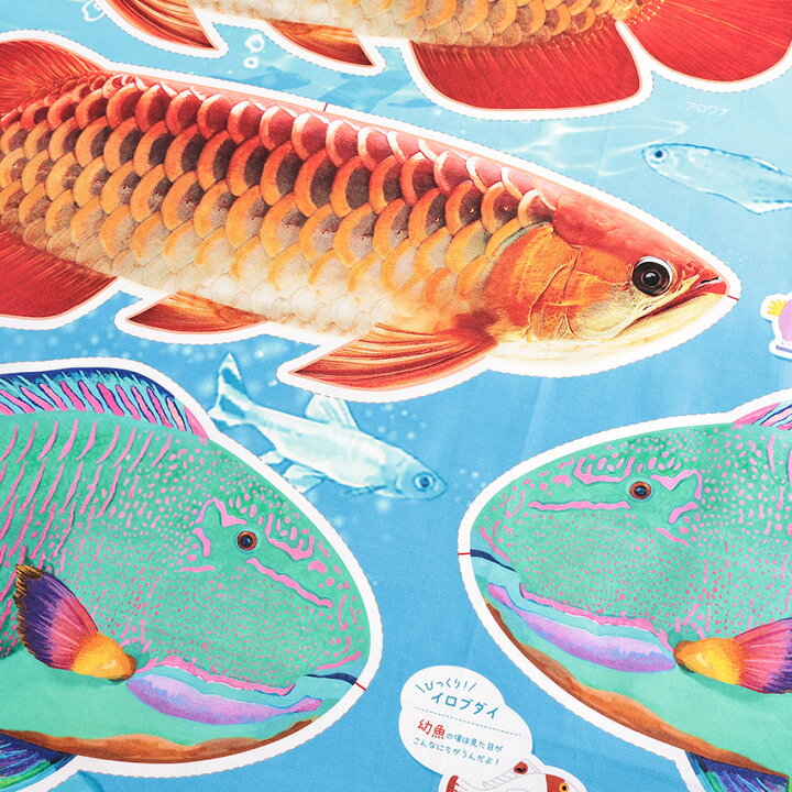 楽天市場】インクジェットパネル 水の仲間たち アロワナ 108×95cm 