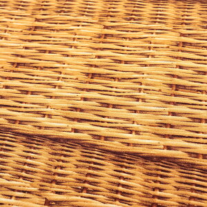 Candy Party gbNoXPbg 10ԃLoX 50cmPʁbؔ ؂蔄 n z zn tFCN Jg[ {[_[ JSobO i`  n v Rbg100 oXPbg