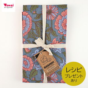 ChȃubNvg Xуt[ 5Gry 1.95m JbgNX | n z zn Jbgz Ch ChubNvg Rbg100 Chvg  n AWAeCXg A