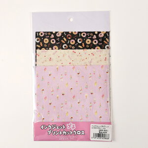 CNWFbgv`vgJbgNX XC[c XPA 20×20cm JbgNX | n z zn ͂ Jbgz ʂ ʂ  ʂ   n   킢 XC