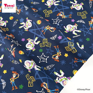 fBYj[ sNT[ gCEXg[[  IbNX 50cmP | ؔ ؂蔄 n z zn Rbg100 fBYj[ LN^[ gCXg[[ ʒn v  w ʉ ʊw ̎q 