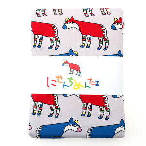 ɂ񂿂߂񂽂 Ŋ뜜 IJs 70×75cm JbgNXbn z zn ͂ Jbgz Rbg100 jZ`^ Ђ胂X^[ Ђ ʒn v Jt 킢 j