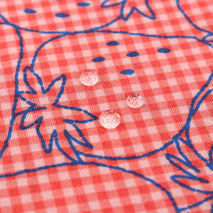 楽天市場】PICNIC イチゴ刺繍風ギンガムチェック 撥水加工 シーチング  