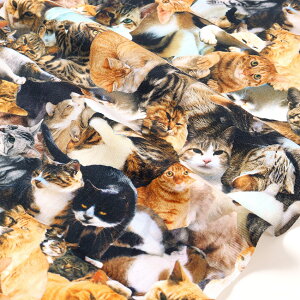�f�W�^���I�b�N�X�v�����g CATS 50cm�P�� | �ؔ��� �؂蔄�� ���n �z �z�n �R�b�g��100�� �L �˂� �l�R �L���b�g �j�����R �ɂ�� ���A���v�����g ���ʒn ��v ������ �A�j�}���� �f�W�^���v��