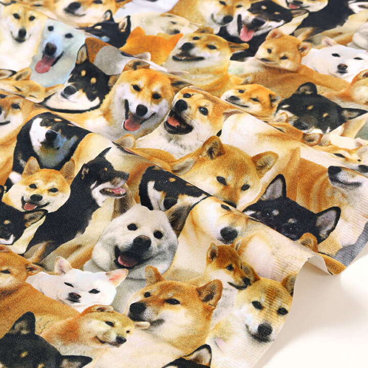 楽天市場】デジタルオックスプリント DOGS 50cm単位 | 切売り 切り売り 
