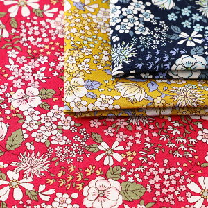 Rbg΂₵ GKgt[ u[h KTS6097b 50cmPʂ̐ؔ萶n z zn n  100 Rbg Rbg100 t[vg lCr[  ԕ 킢  t