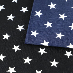 vfBO X^[ _[NJ[ IbNX i50cmPʁjbؔ n z zn  Rbg 100  j̎q  w g[JC