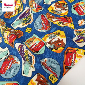 fBYj[ J[Y by IbNX 50cmP | ؔ ؂蔄 n z zn LN^[ Disney  蕨 XebJ[ Vw ObY Rbg100 ʒn v  w ̎q 