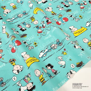 s[ibc Xk[s[ tY IbNX 50cmP | ؔ ؂蔄 n z zn LN^[ 킢 SNOOPY ʉ ʊw `[[EuE EbhXgbN u[ Rbg100 j̎q