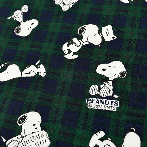 s[ibc Xk[s[ `FbN IbNX 50cmPʁbؔ ؂蔄 n z zn Rbg100 LN^[ a g  `FbN ObY wObY VwObY ̎q