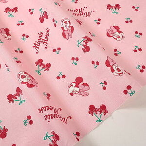 fBYj[ ~j[}EX `F[ IbNX 50cmP | ؔ ؂蔄 n z zn LN^[ Rbg100 Disney Vw ʉ ʊw ObY sN  w ̎q j̎q 킢 