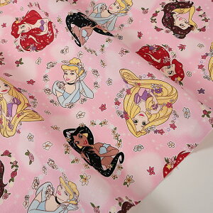 fBYj[ vZX IbNX 50cmP | ؔ ؂蔄 n z zn LN^[ Rbg100 Vw ʉ ʊw ObY sN Disney  w ̎q j̎q 킢 t[ 