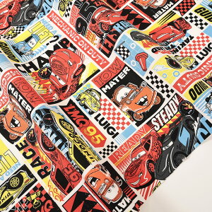 fBYj[ sNT[ J[Y IbNX 50cmP | ؔ ؂蔄 n z zn LN^[ Rbg100 Disney Vw ʉ ʊw ObY Jt [^[ OCh  w ̎q j̎q 