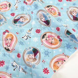 fBYj[ AiƐ̏ IbNXLg 50cmP | ؔ ؂蔄 n z zn LN^[  w LeBOn Disney Vw ʉ ʊw ObY Xm[t[N 킢  