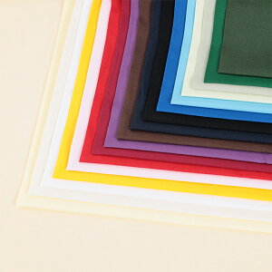 GCeB XPAi50cmPʁjbؔ ؂蔄 n z zn n Vv n  Rbg  100% n CeA n  w Rbg100% 