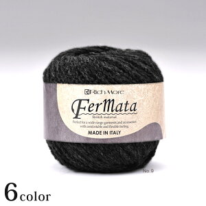 b`A tF}[^bю RichMore ݂