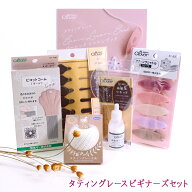 タティングレース ビギナーズセット|初心者向け 入門書 初心者セット Clover 白いレース糸 タティングが…