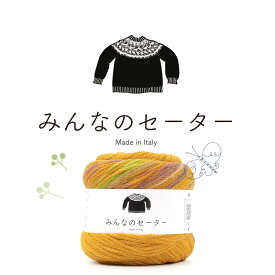 みんなのセーター｜超極太 イタリア製 ジャガードヤーン 毛糸 あみもの ニット 手編み プルオーバー 編み図付き レシピ