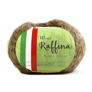 ECX^[ tB[ibю ҂ݕ w g[JC