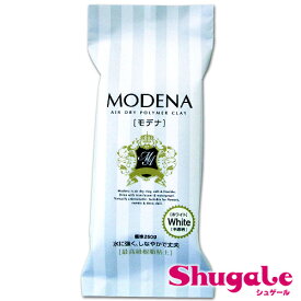 樹脂粘土 モデナ 250g｜白 ホワイト MODENA パジコ 粘土 モデナ ねんど 新パッケージ