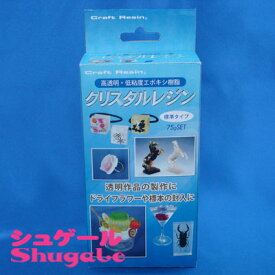 楽天市場 昆虫 樹脂 標本の通販