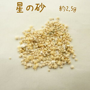 ̍ 2.5g | W p[c UVW   Ί_ TS nhCh ANZT[ ޗ g[JC