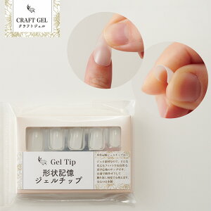 `LlC`bv  1Zbg 10-3237 | NtgWFlC lC lC`bv lCA[g `bv  lCACe WF V[ ȒP _炩