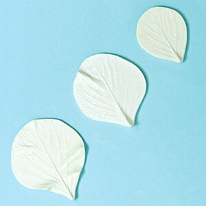 VA\VGCc Sy^ 506 t | ˂ p ^ A t C`S̗t t ^ t^ A\VGCc  Sy