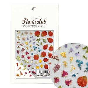 WNu V[ ԂтA\[g RC-ORI-101 | W  V[g  ͂Ȃт Ԃт