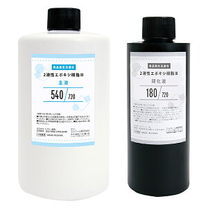 Gx[ 2tG|LV 720g III RS-700 | W WNtg WvX ^ WANZT[