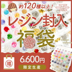 ＼20周年祭／ 【限定福袋】レジン封入福袋 豪華5段 クリア引出しケース入り 120種 パーツアソートセット | レジン セット 福袋 スターター レジンセット 限定 収納 ケース 引き出し 封入 パーツ 着色剤 メタル ツール 金具 アクセサリー お楽しみ袋 手芸 たっぷり