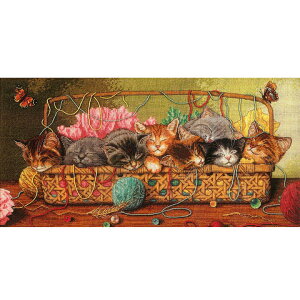 hJ hイALbg Dimensions The Gold Collection fBW Kitty Litter юƎqL