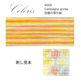 刺繍 刺しゅう糸 DMC 25番 Coloris（コロリ） ToWn 4508 田園の雪化粧
