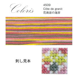 刺繍 刺しゅう糸 DMC 25番 Coloris（コロリ） ToWn 4509 花崗岩の海岸