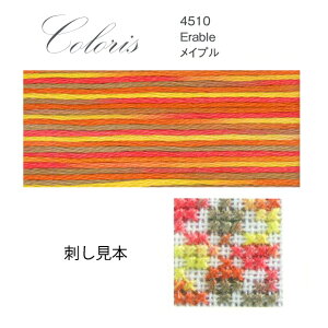 hJ hイ DMC 25 ColorisiRj ToWn 4510 Cv