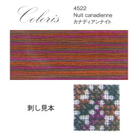 刺繍 刺しゅう糸 DMC 25番 Coloris（コロリ） Scene 4522 カナディアンナイト