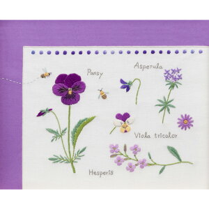 hJ Lbg COSMOiVAj ؘaqJ[RNVEp[v