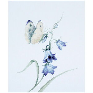 y~hJP15z hJ ALbg Luca-Si[JXj B2248 Summer delight y[։z