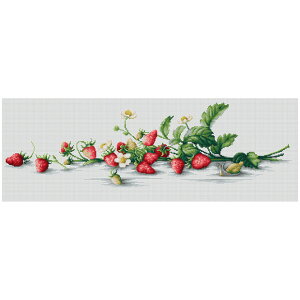 hJ ALbg Luca-Si[JXj B2266 Etude with Strawberries y[։z